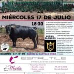 TOROS ONDA 17 JULIO 2024