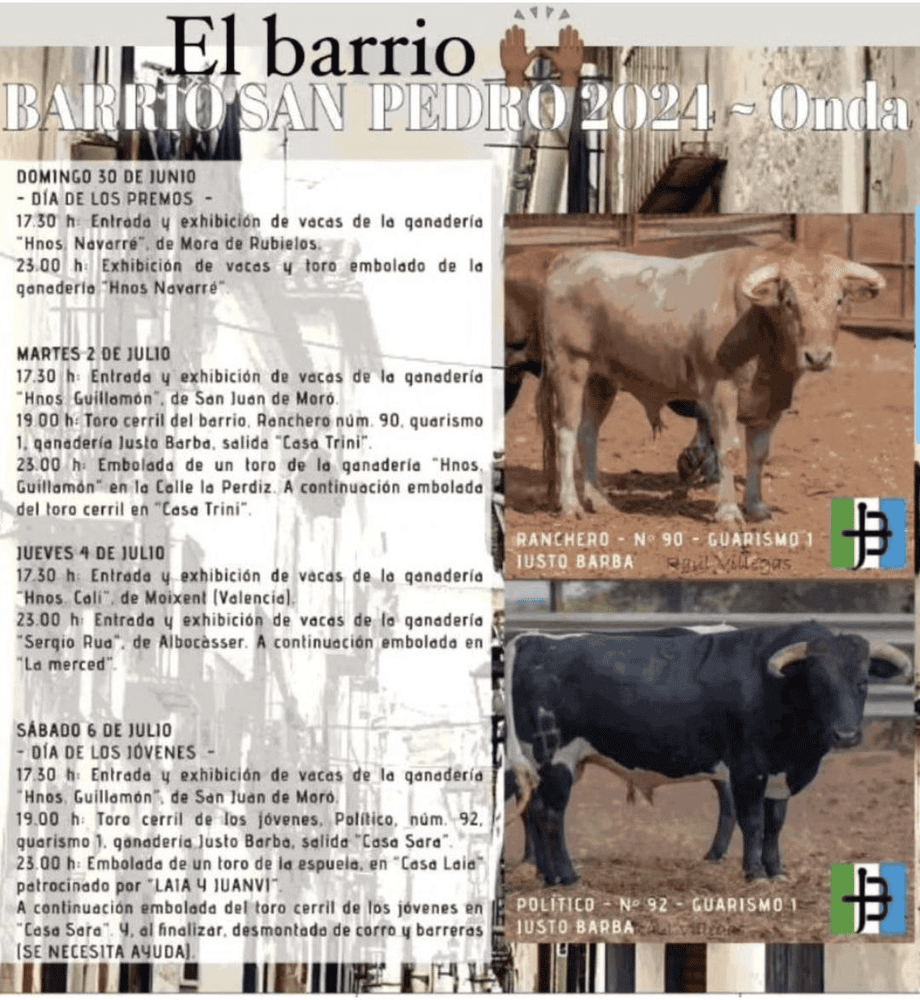 TOROS ONDA 2-4-6 JULIO 2024