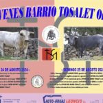 TOROS ONDA 24 Y 25 AGOSTO 2024