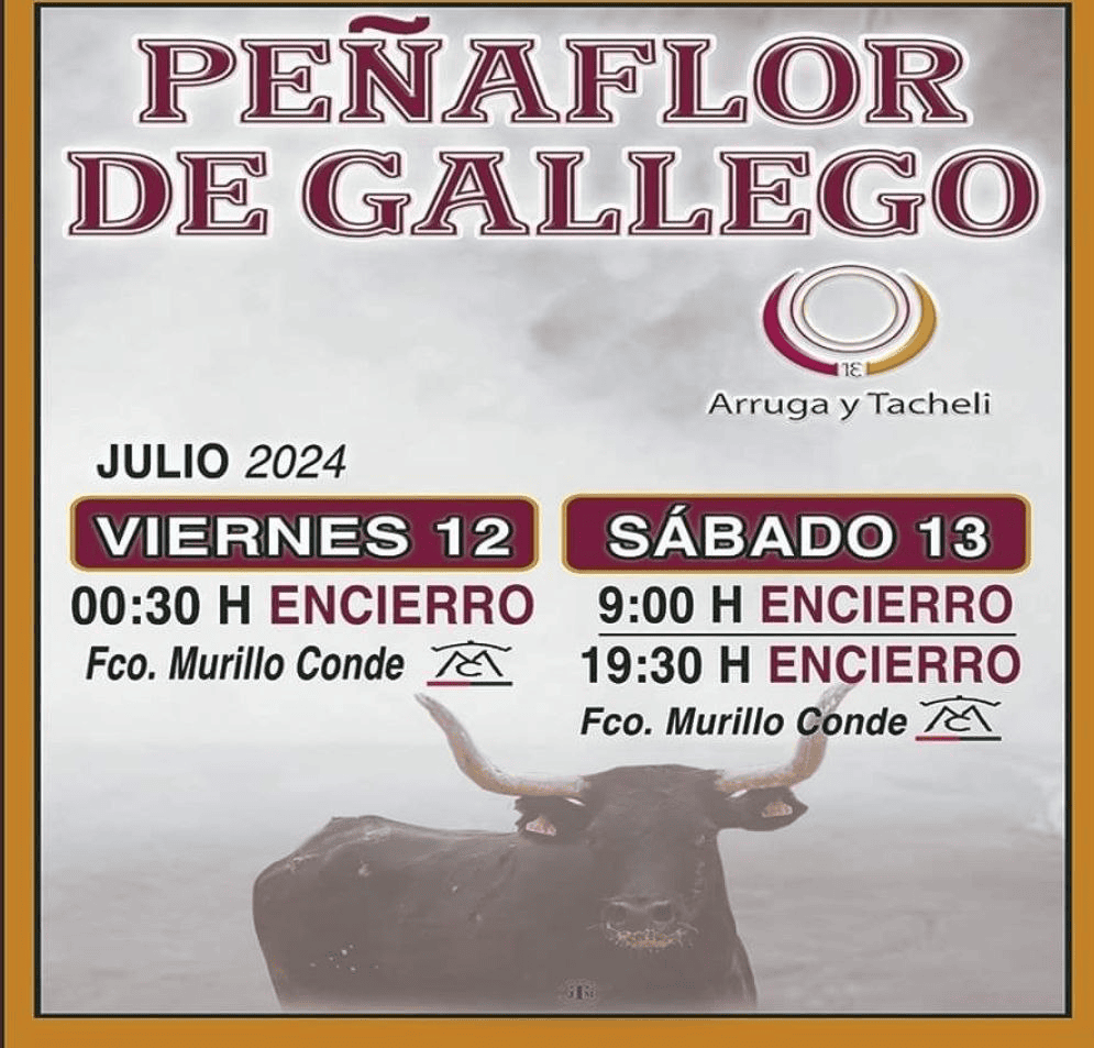 TOROS PEÑAFLOR DE GALLEGO 12 Y 13 JULIO 2024