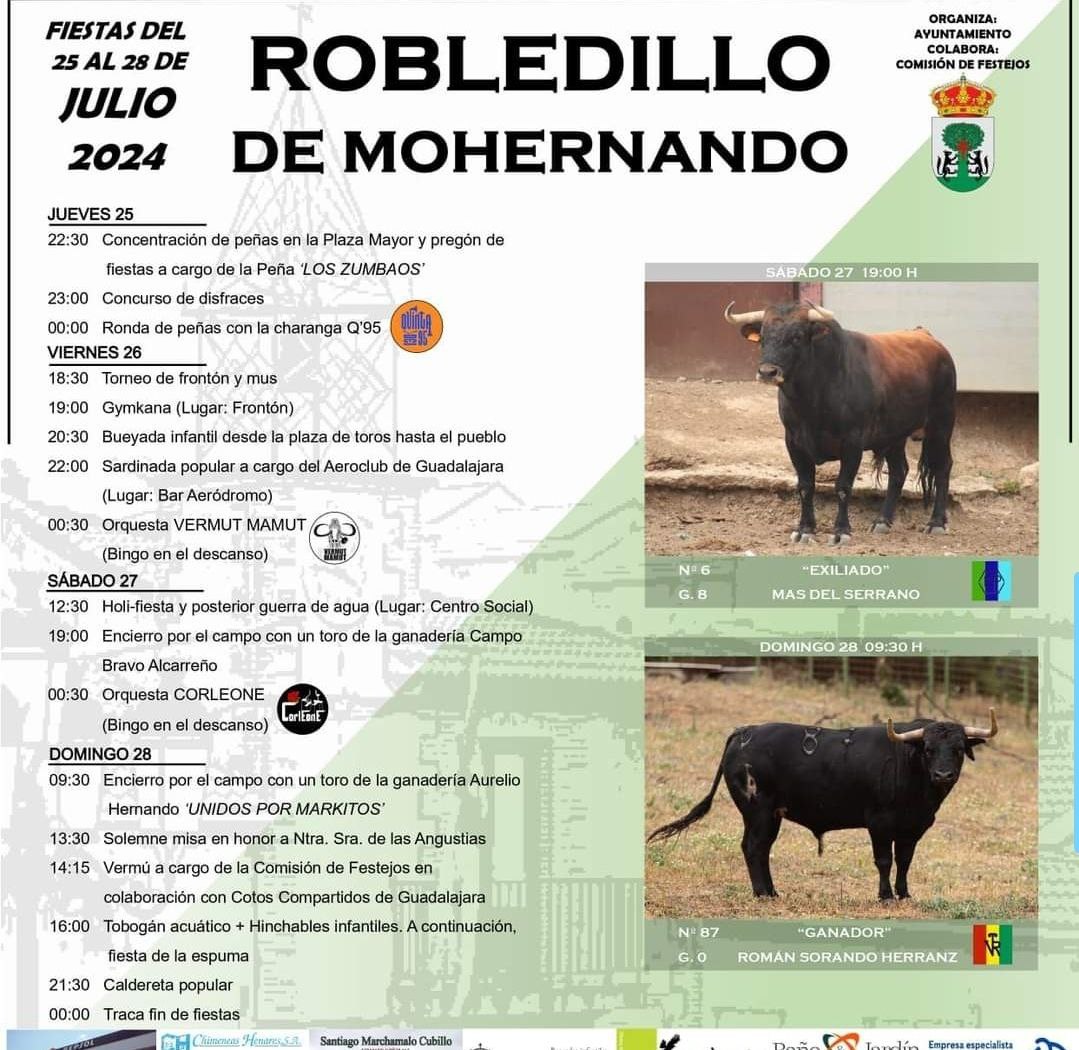 TOROS ROBLEDILLO DE MOHERNANDO 26 A 28 JULIO 2024