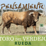 TOROS RUEDA 15 AGOSTO 2024