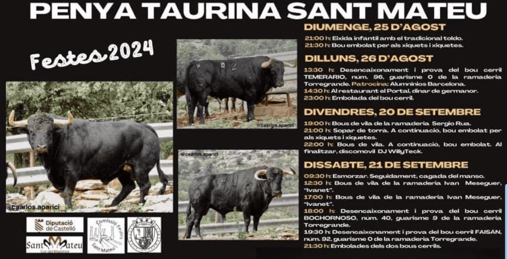 TOROS SANT MATEU 25 AGO A 21 SET 2024