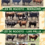 TOROS SEPULVEDA 23 A 25 AGOSTO 2024