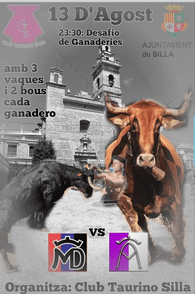 TOROS SILLA 14 AGOSTO 2024