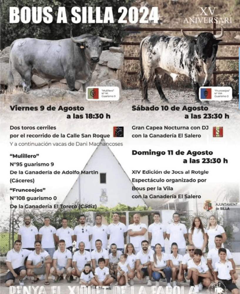 TOROS SILLA 9 A 11 AGOSTO 2024