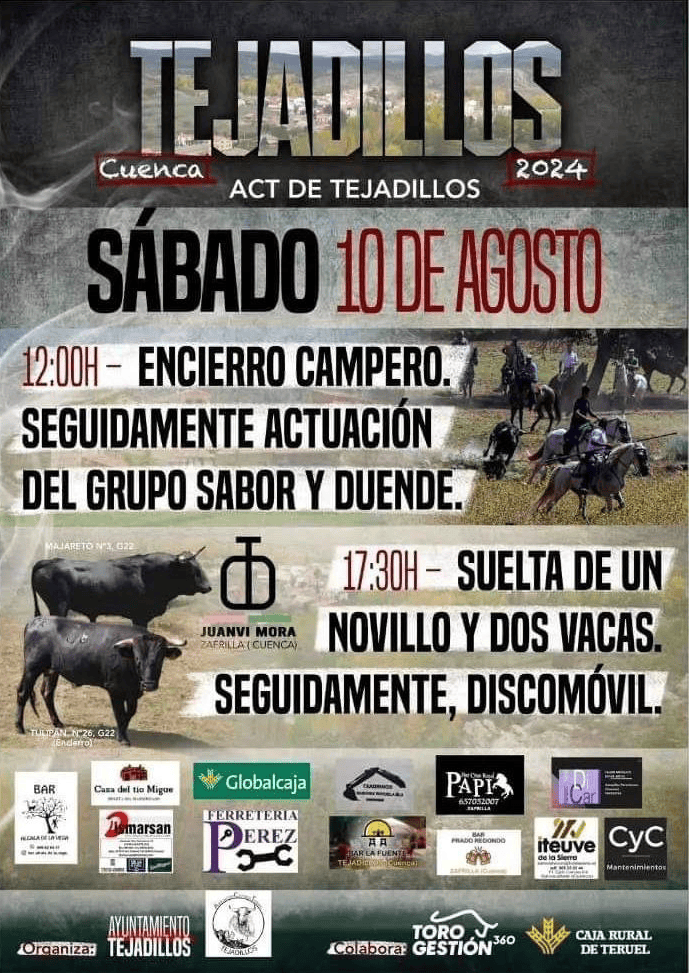 TOROS TEJADILLOS 10 AGOSTO 2024