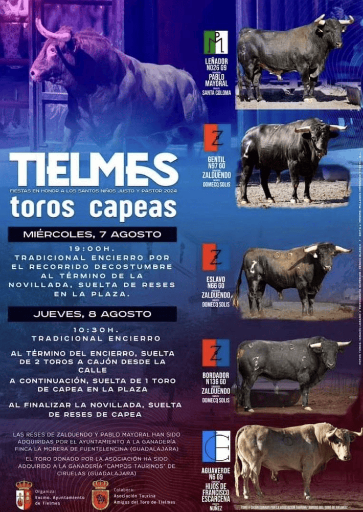 TOROS TIELMES 7 AGOSTO 2024