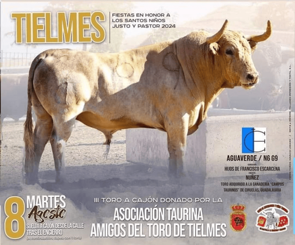 TOROS TIELMES 8 AGOSTO 2024