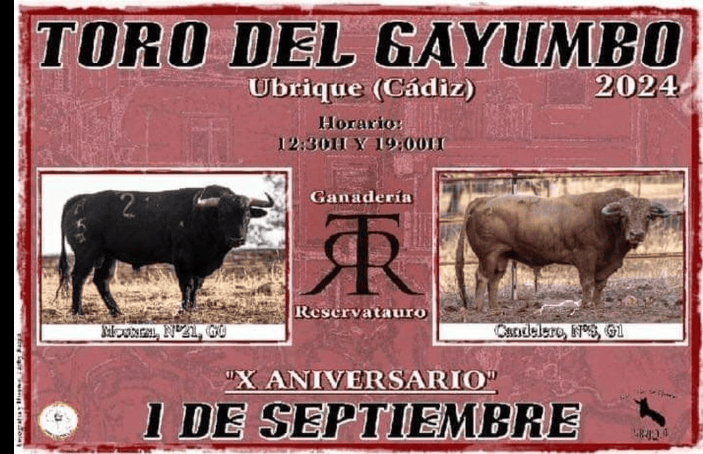 TOROS UBRIQUE 1 SEPTIEMBRE 2024