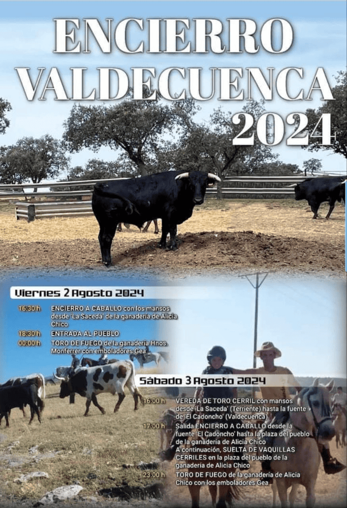 TOROS VALDECUENCA 2 Y 3 AGOSTO 2024