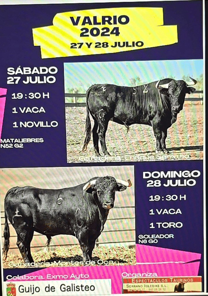 TOROS VALRIO 27 Y 28 JULIO 2024