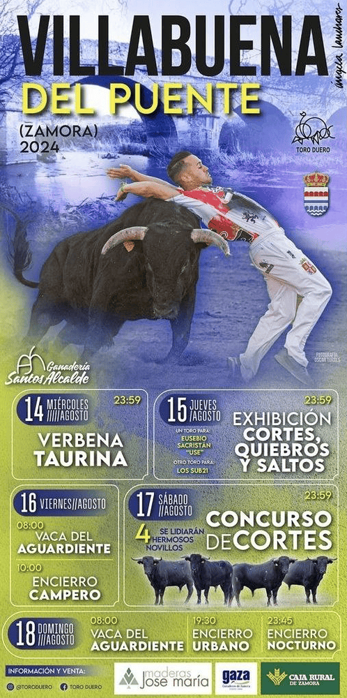 TOROS VILLABUENA DEL PUENTE 14 A 18 AGOSTO 2024