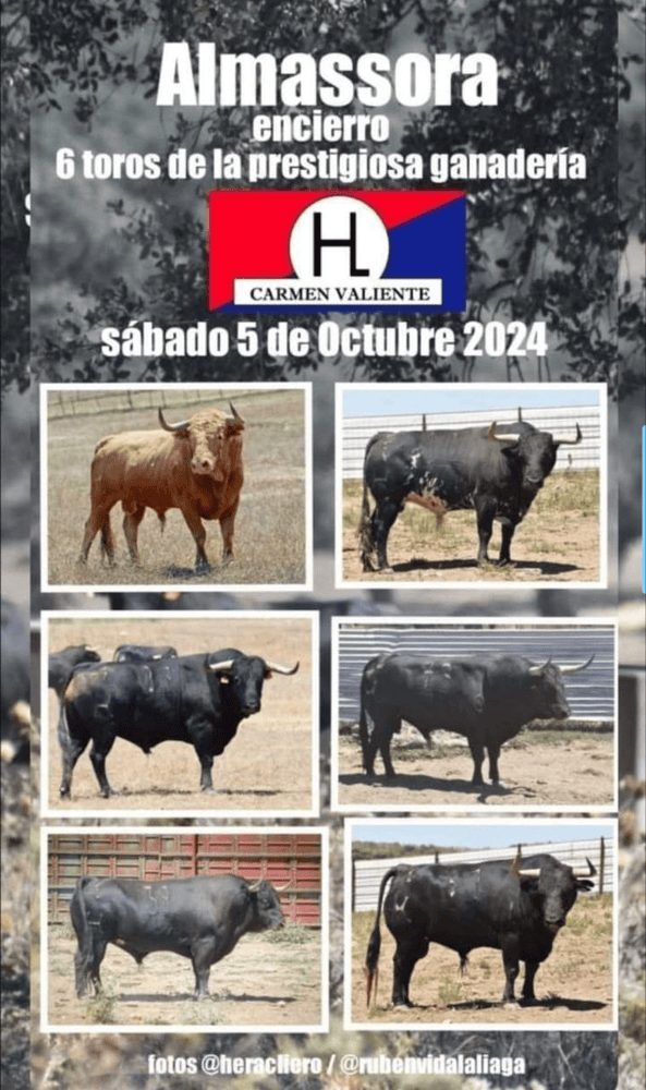 TOROS ALMASSORA 5 OCTUBRE 2024