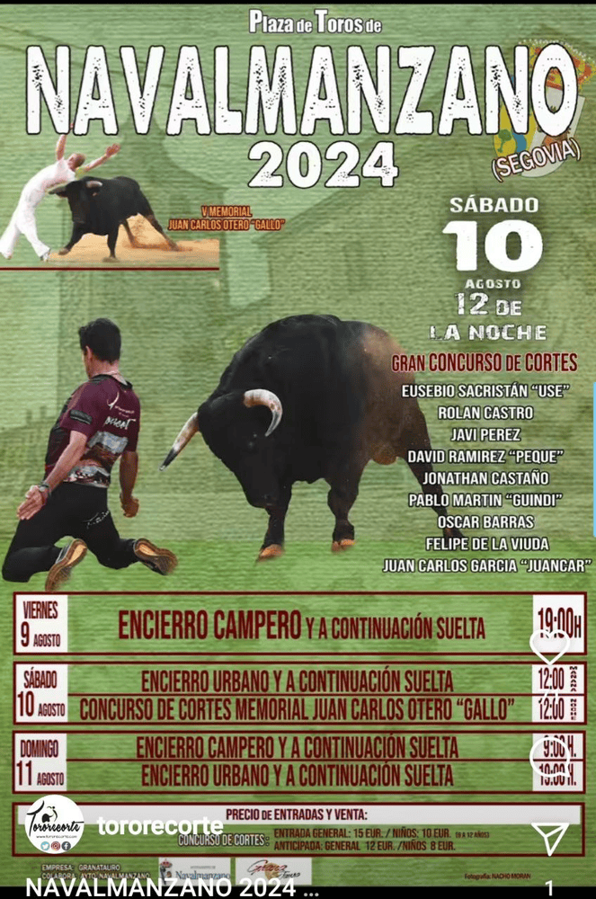 TOROS NAVALMANZANO 9 A 11 AGOSTO 2024