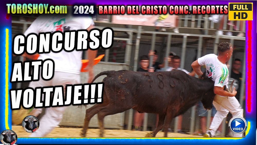 IMPRESIONANTE CONCURSO EN EL BARRIO EL CRISTO DE QUART TOROS TV 2024