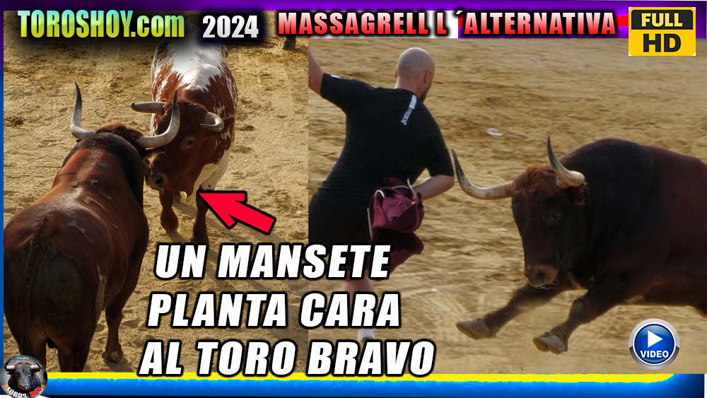 TORO GUAPO GUAPO EN MASSAMAGRELL L ´ALTERNATIVA 2024 TOROS TV Y TOROS HOY 2 TOROS