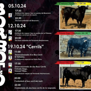 TOROS BORBOTÓ 5 A 19 OCTUBRE 2024