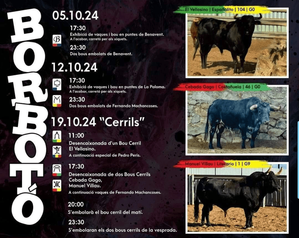 TOROS BORBOTÓ 5 A 19 OCTUBRE 2024