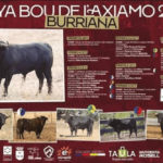 TOROS BURRIANA 5 A 11 OCT 2024