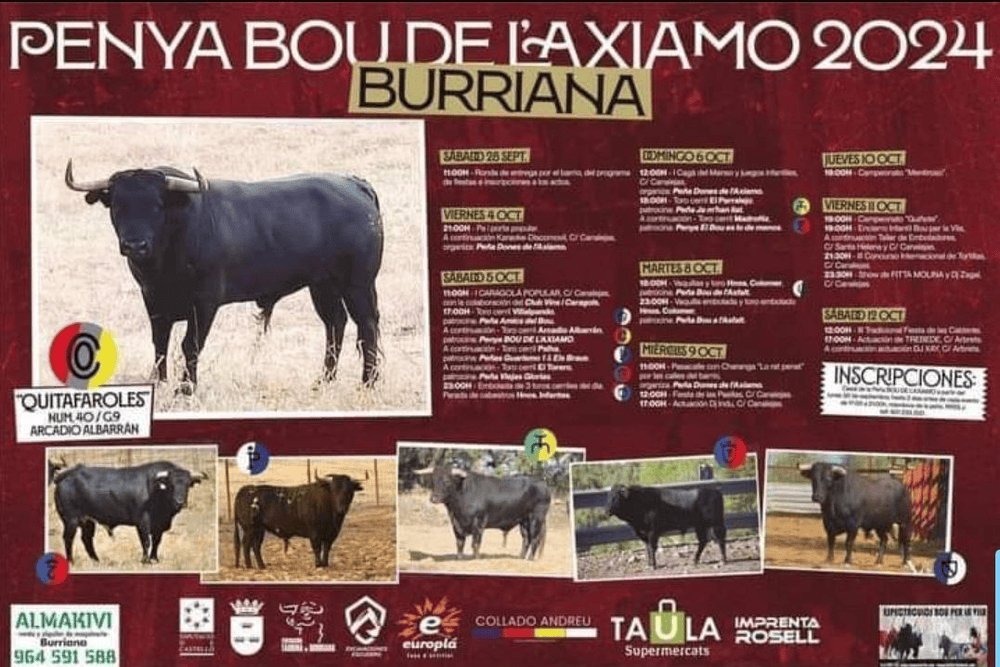 TOROS BURRIANA 5 A 11 OCT 2024