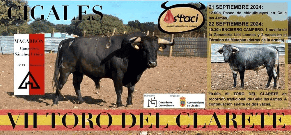 TOROS CIGALES 21 Y 22 SEPTIEMBRE 2024