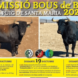 TOROS EL PUIG 18 A 26 OCTUBRE 2024