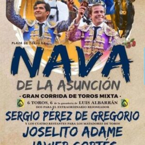 TOROS NAVA DE LA ASUNCIÓN 15 SEPTIEMBRE 2024