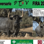 TOROS ONDA 23 OCTUBRE 2024