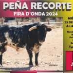 TOROS ONDA 23 OCTUBRE 2024