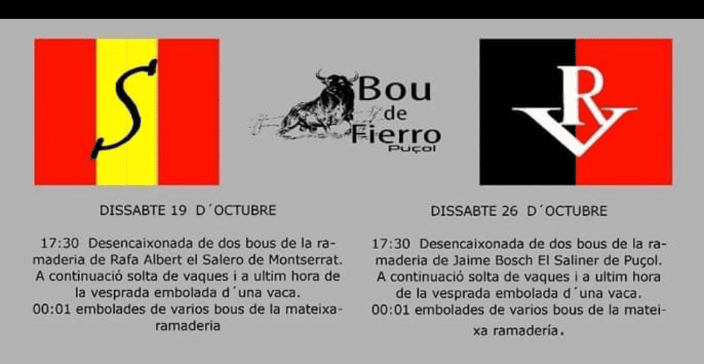 TOROS PUÇOL 19 Y 26 DE OCTUBRE 2024