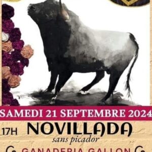 TOROS SAINT-MARTIN-DE CRAU 21 SEPTIEMBRE 2024