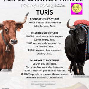 TOROS TURÍS 25 A 27 OCTUBRE 2024