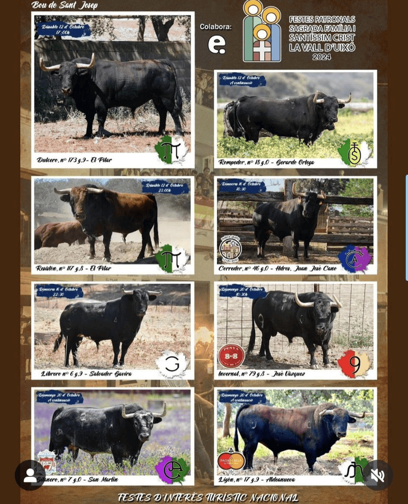 TOROS VALL D'UIXÓ 12 A 20 OCTUBRE 2024