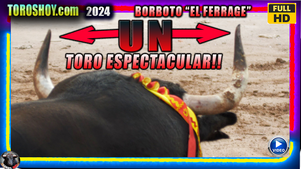 TOROS ESPECTACULARES EN BORBOTO UNO PRECIOSO TOROS TV 2024 EL FERRAGE