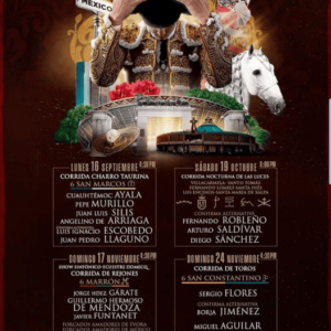 TOROS CDMX 16 SEP A 12 DIC 2024