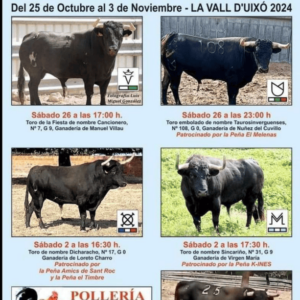 TOROS LA VALL D'UIXÓ 26 OCT A 2 NOV 2024