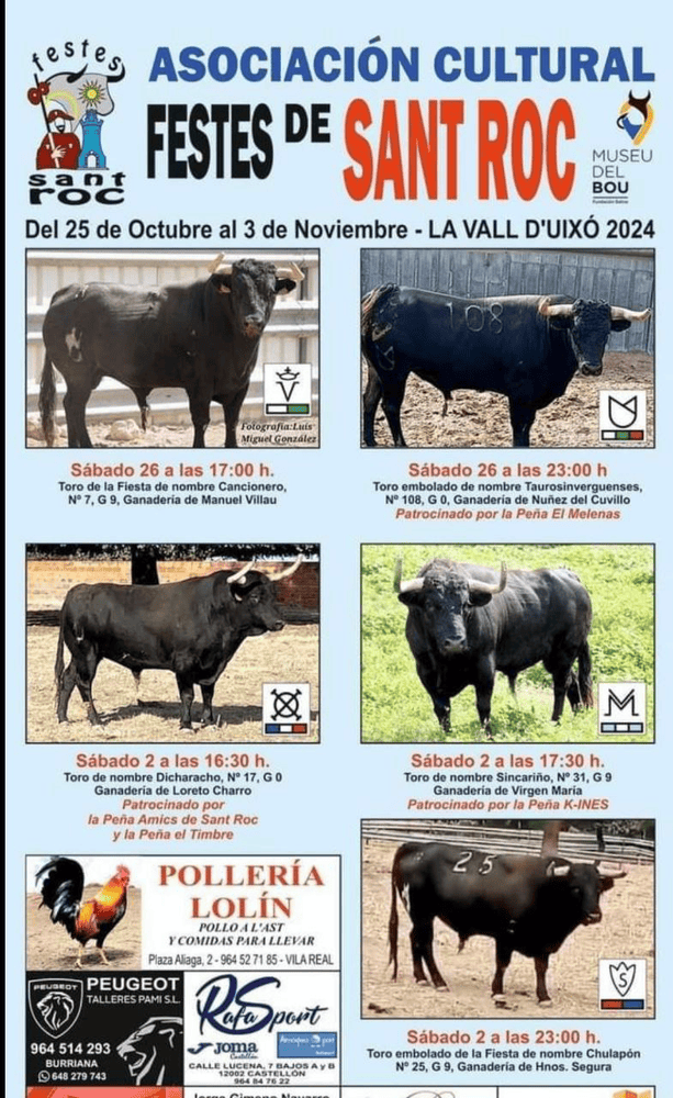 TOROS LA VALL D'UIXÓ 26 OCT A 2 NOV 2024