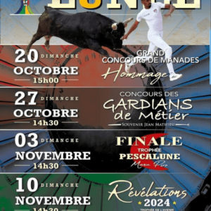 TOROS LUNEL 20 OCT A 10 NOV 2024