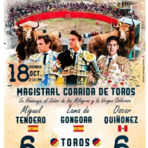 TOROS VICHAYCOCHA 18 OCTUBRE 2024