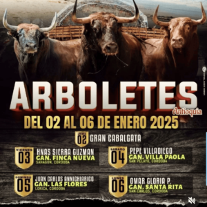 TOROS ARBOLETES 3 A 6 ENERO 2025