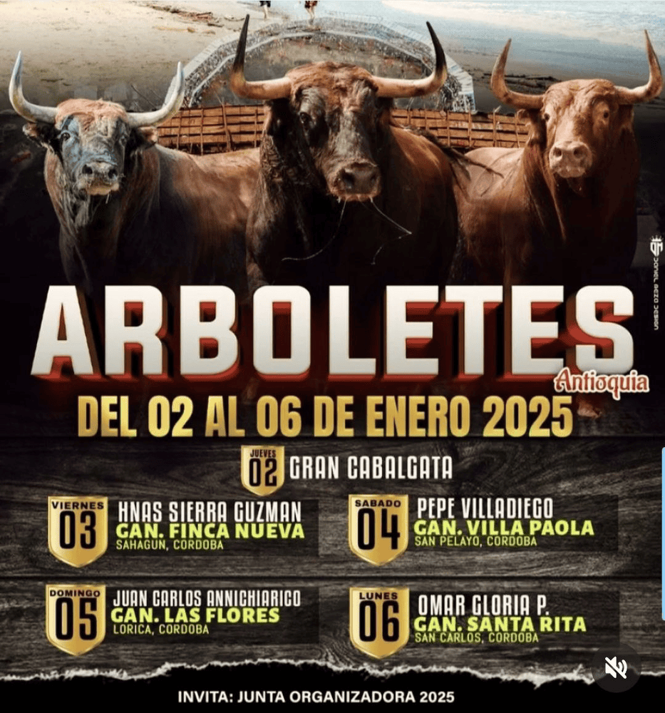 TOROS ARBOLETES 3 A 6 ENERO 2025