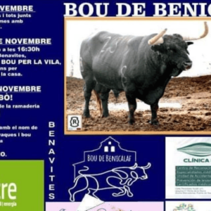 TOROS BENAVITES 14 A 16 NOVIEMBRE 2024