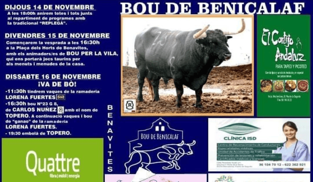 TOROS BENAVITES 14 A 16 NOVIEMBRE 2024