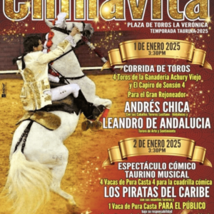 TOROS CHINAVITA 1 Y 2 ENERO 2025