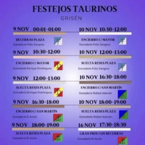 TOROS GRISEN 9 A 10 NOVIEMBRE 2024