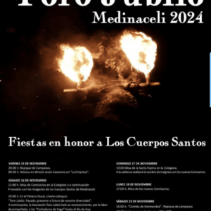 TOROS MEDINACELI 16 NOVIEMBRE 2024