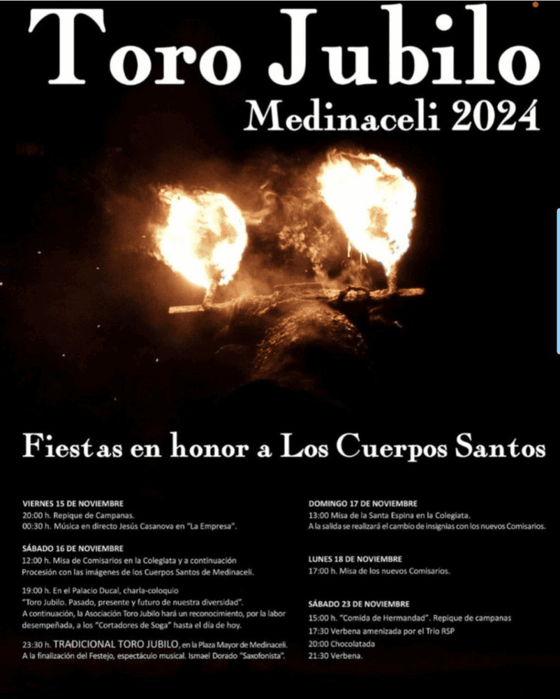 TOROS MEDINACELI 16 NOVIEMBRE 2024