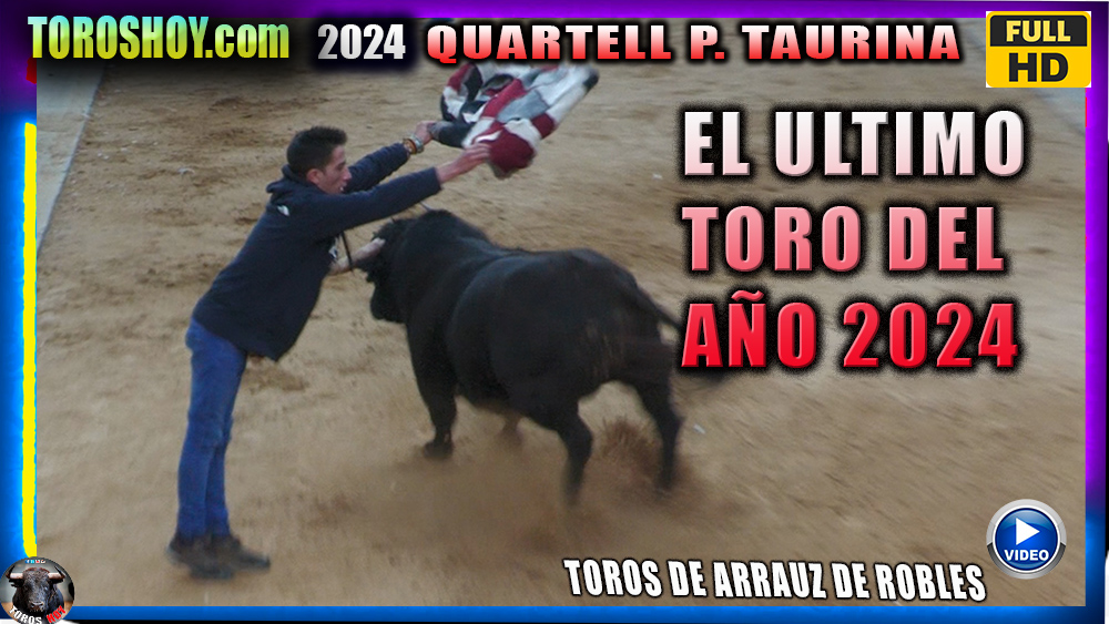 TOROS QUARTELL 2024 ULTIMO TORO DEL 2024 TOROSHOY.COM