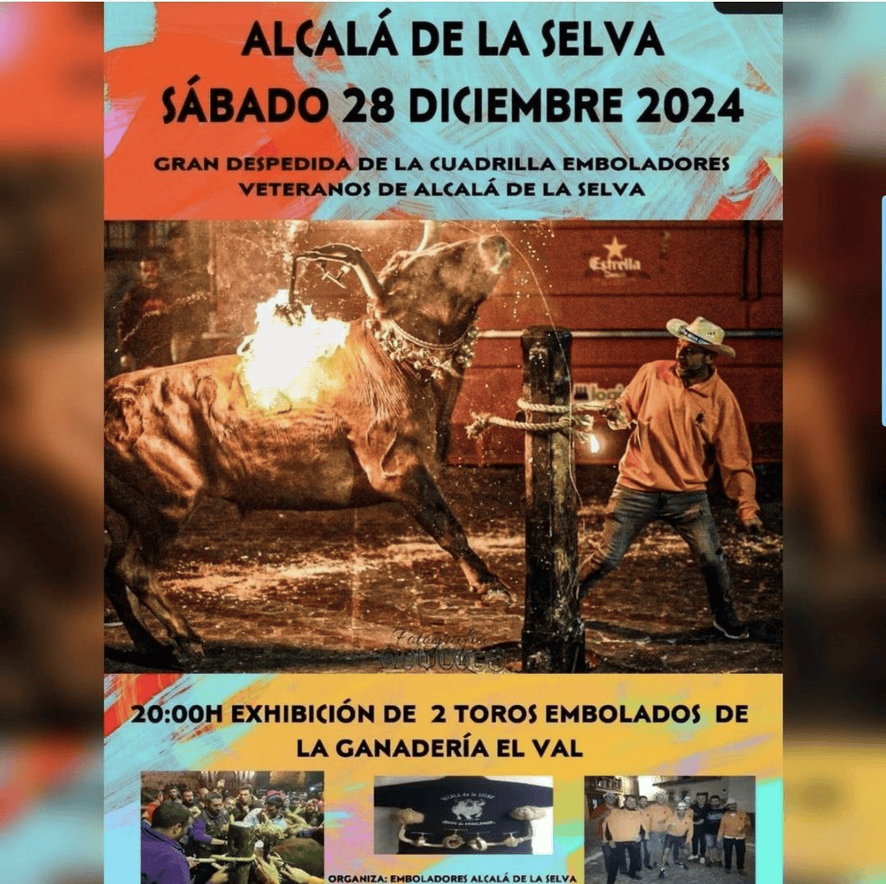 TOROS ALCALÁ DE LA SELVA 28 DICIEMRBE 2024